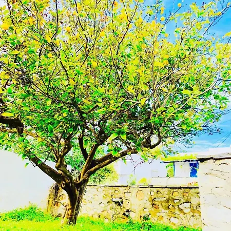 Limni No 3 Self Catering